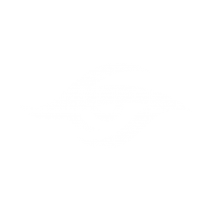 Secret_logo