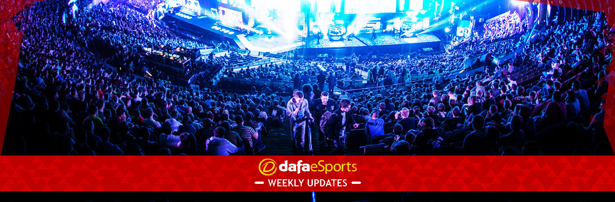 DafaeSports Weekly Update