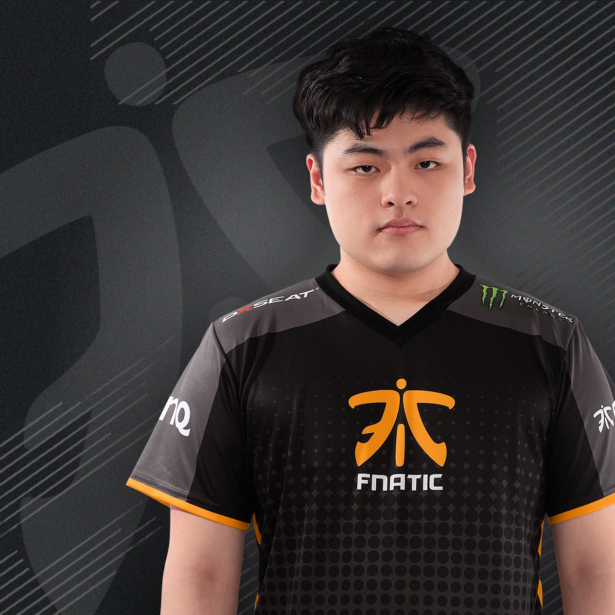 Fnatic steam profile фото 20